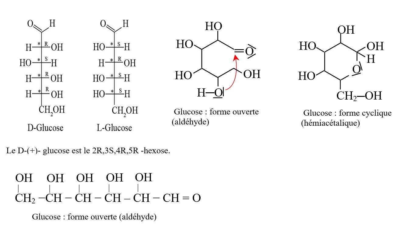 Le glucose