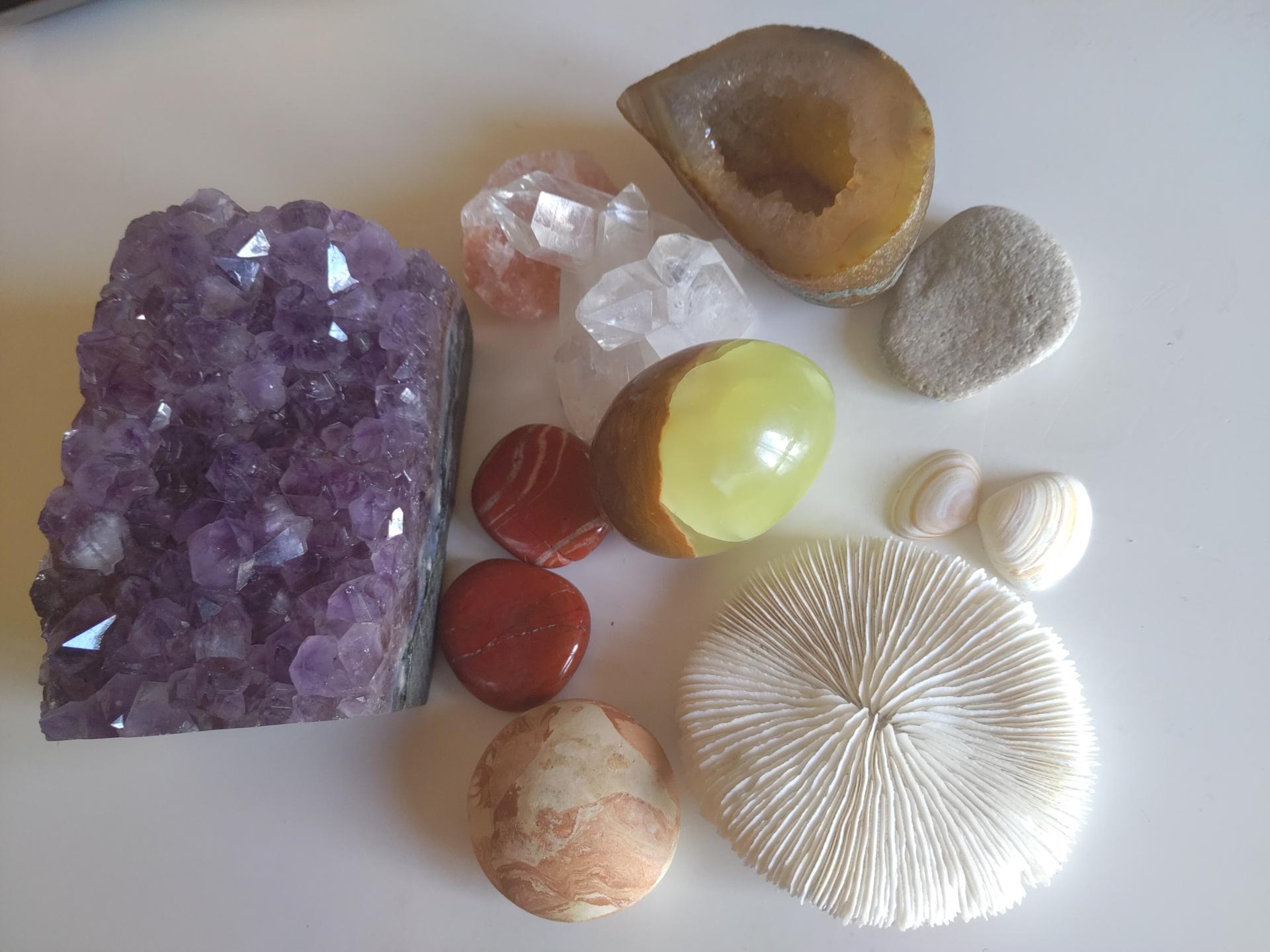 Mineraux et coquillages 1