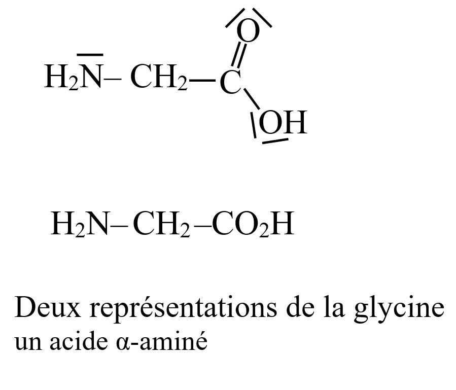 Molecule de glycine