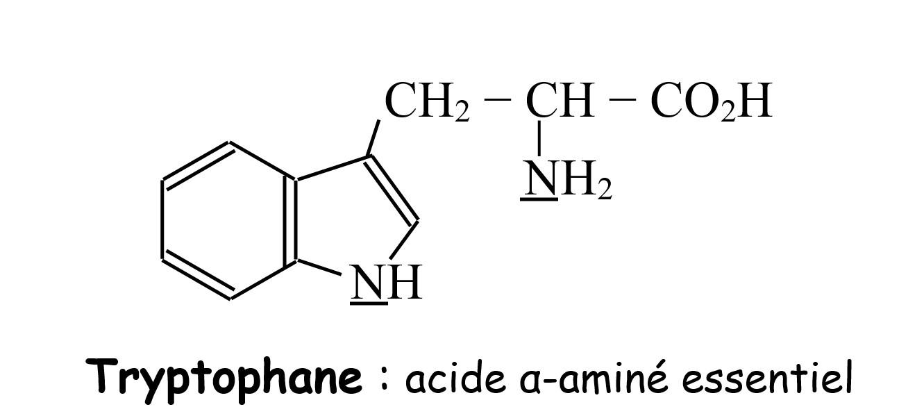Molecule de tryptophane 1