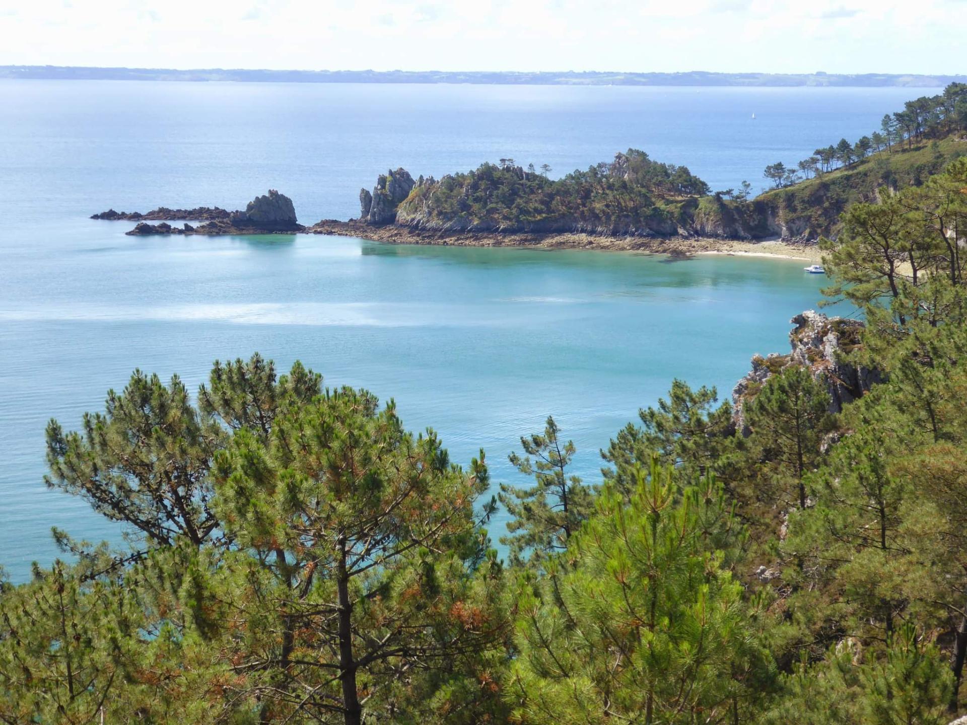 Received 376020191102898