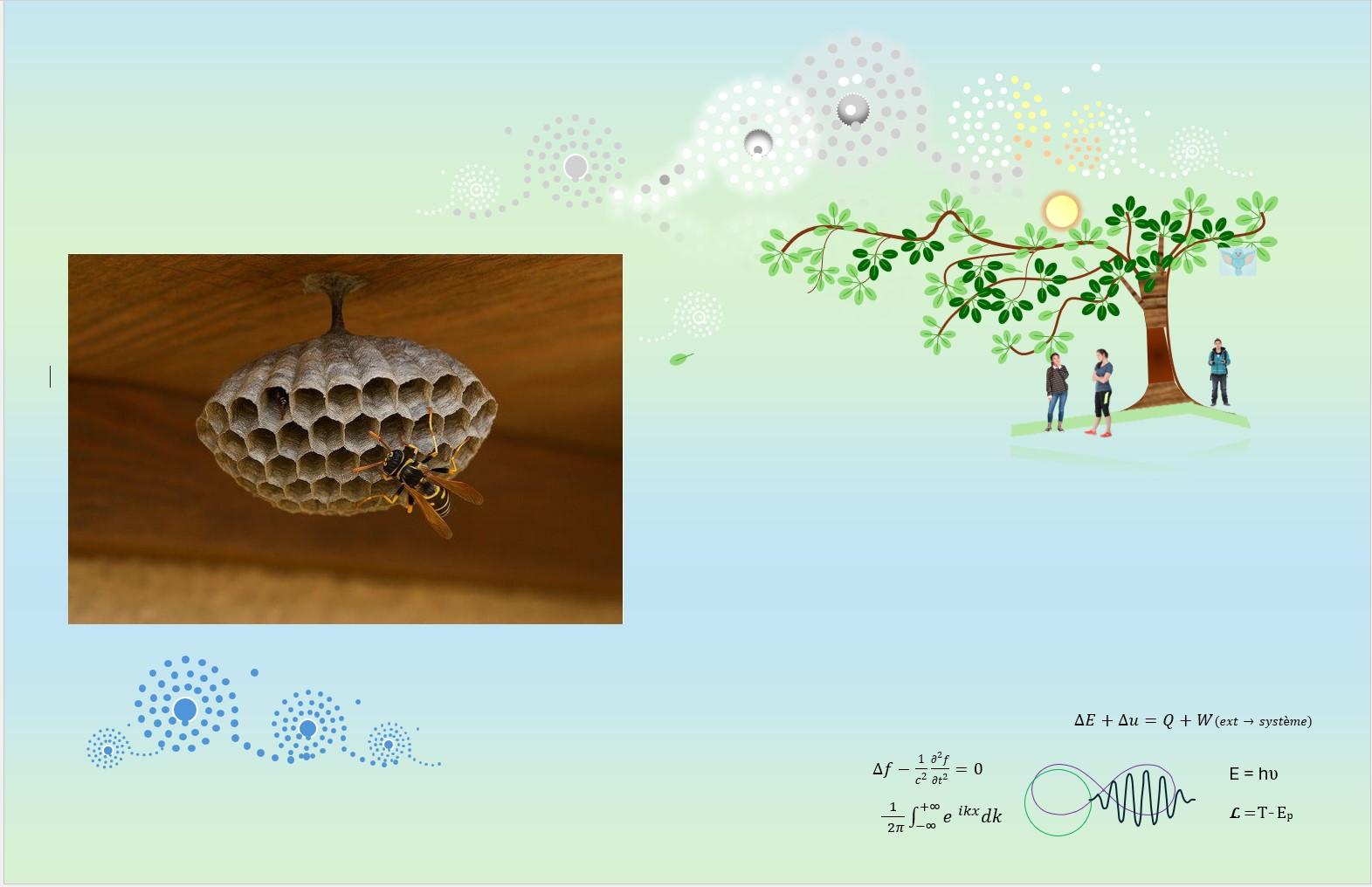Symbolique naturopathie